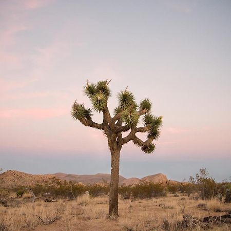 Modern Desert Dream - New Build Twentynine Palms Exterior foto