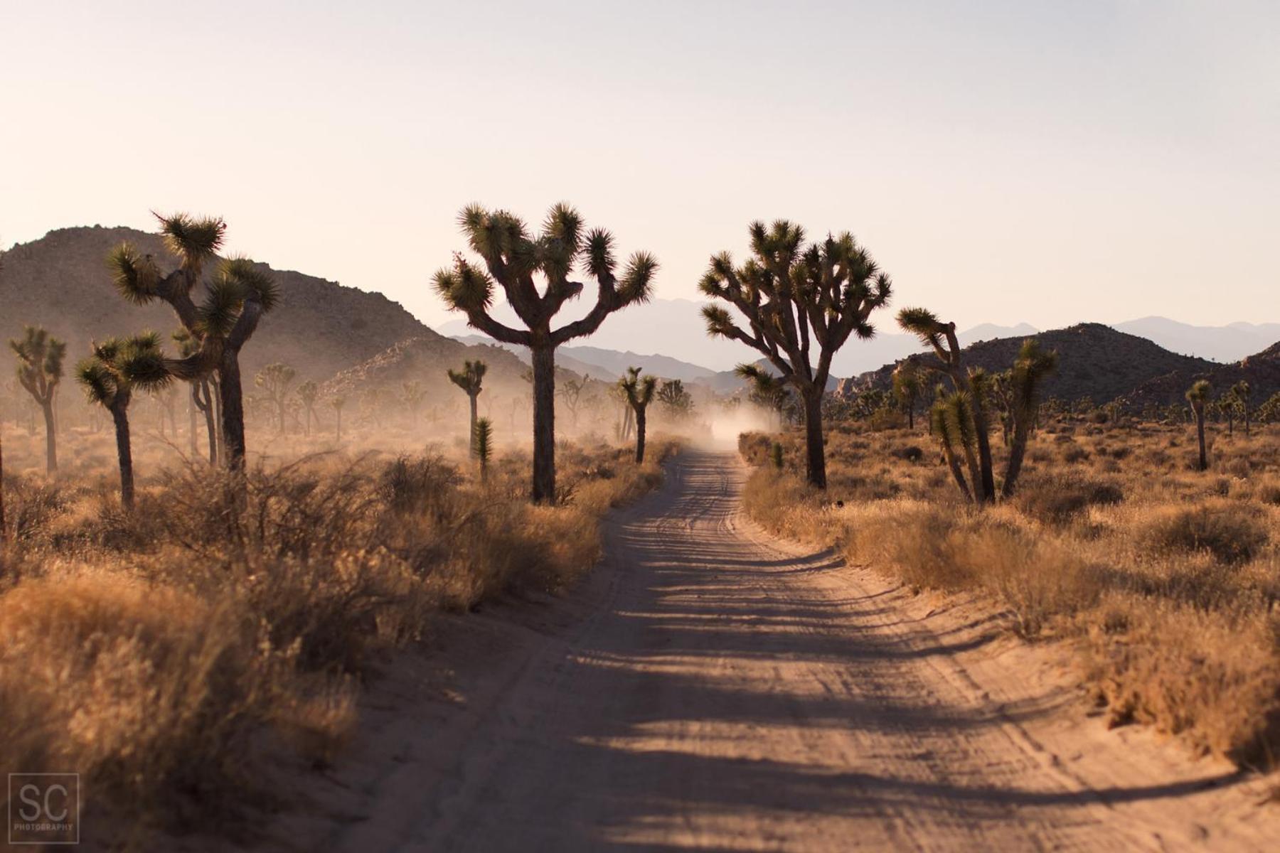 Modern Desert Dream - New Build Twentynine Palms Exterior foto
